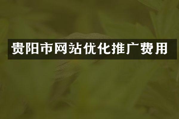 贵阳市网站优化推广费用