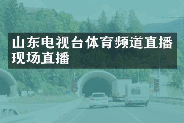 山东电视台体育频道直播现场直播