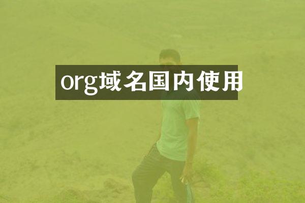 org域名国内使用