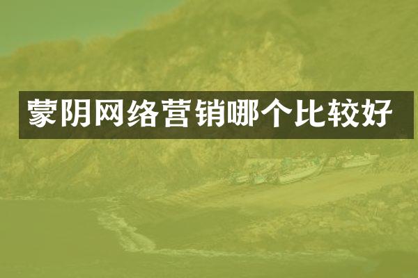 蒙阴网络营销哪个比较好