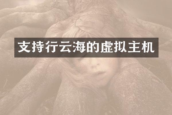 支持行云海的虚拟主机