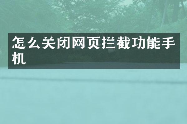 怎么关闭网页拦截功能手机