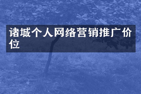 诸城个人网络营销推广价位