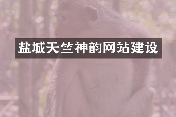 盐城天竺神韵网站建设