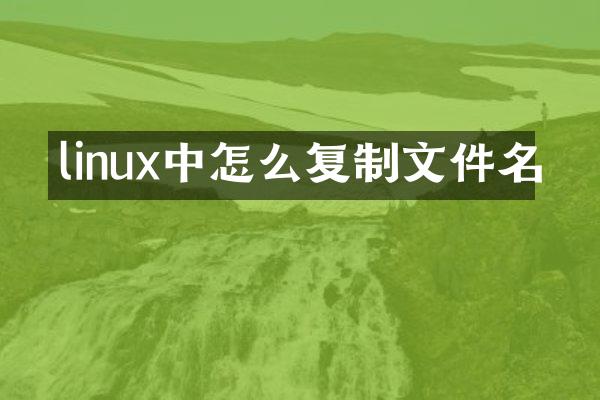 linux中怎么复制文件名