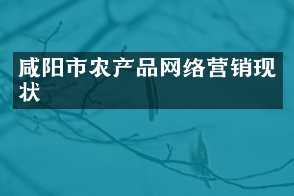 咸阳市农产品网络营销现状