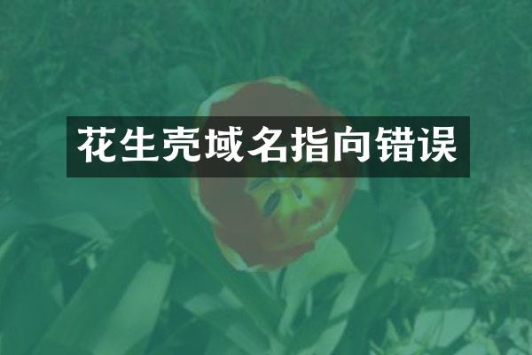 花生壳域名指向错误