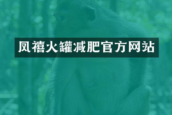 凤禧火罐减肥官方网站