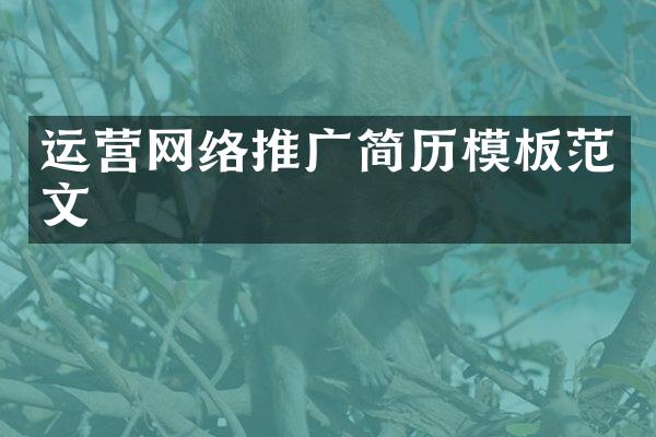 运营网络推广简历模板范文