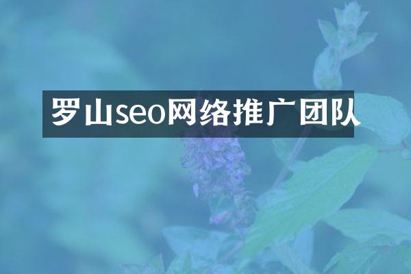 罗山seo网络推广团队