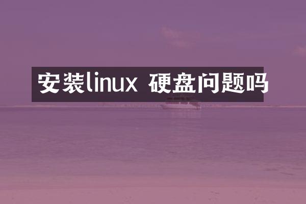 安装linux 硬盘问题吗