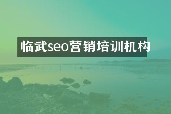 临武seo营销培训机构