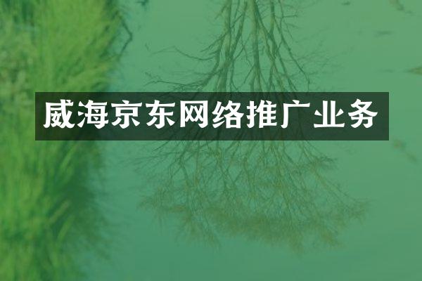 威海京东网络推广业务