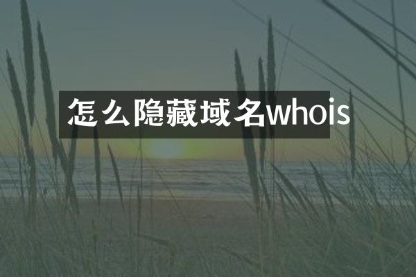 怎么隐藏域名whois