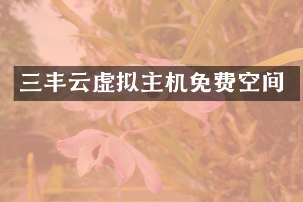 三丰云虚拟主机免费空间