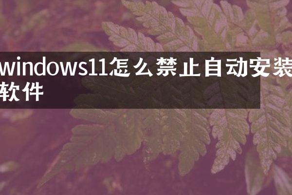 windows11怎么禁止自动安装软件