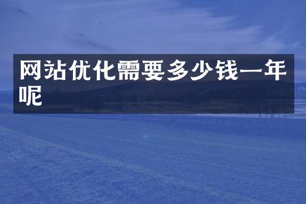 网站优化需要多少钱一年呢
