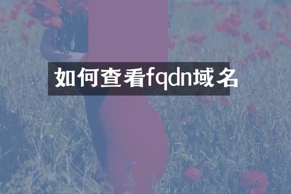 如何查看fqdn域名