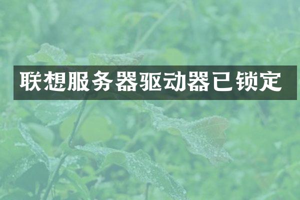 联想服务器驱动器已锁定