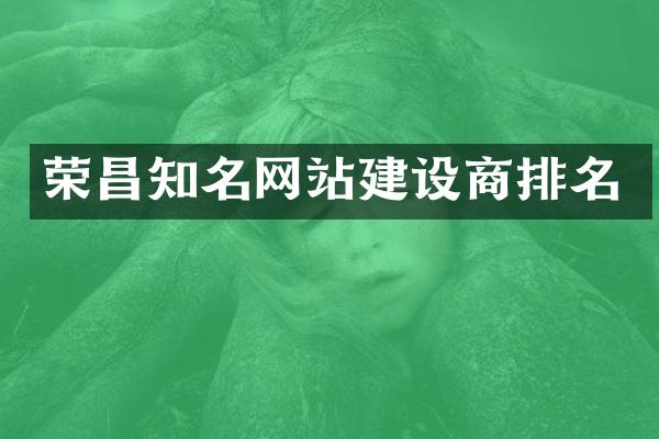 荣昌知名网站建设商排名