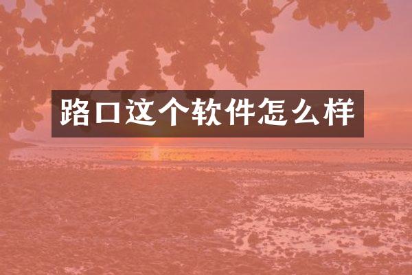 路口这个软件怎么样