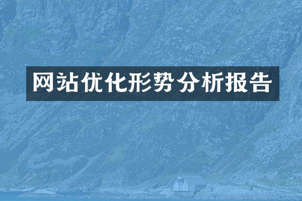 网站优化形势分析报告