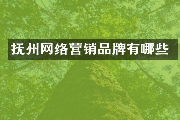 抚州网络营销品牌有哪些