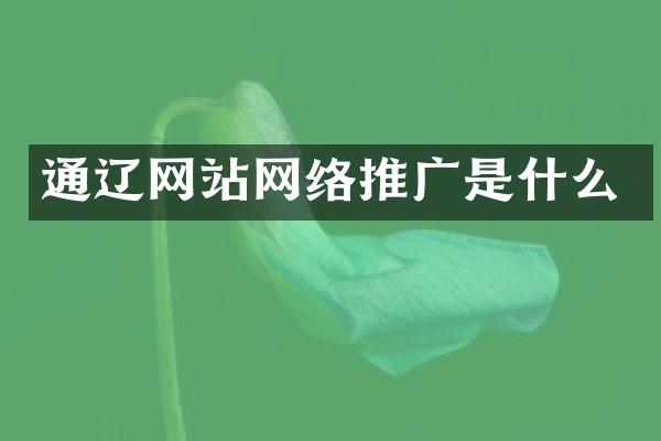 通辽网站网络推广是什么