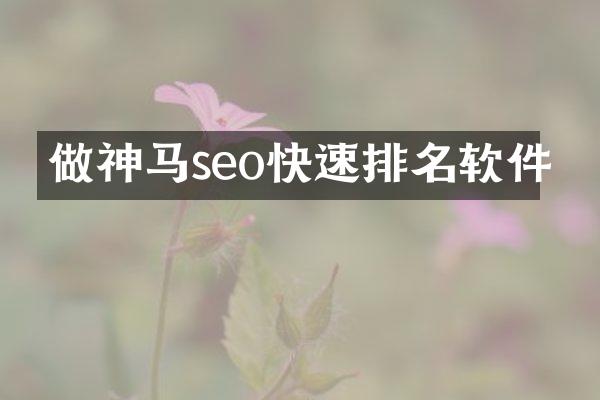 做神马seo快速排名软件
