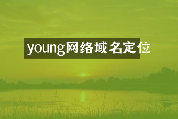 young网络域名定位