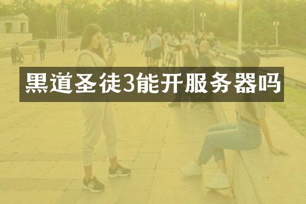 黑道圣徒3能开服务器吗