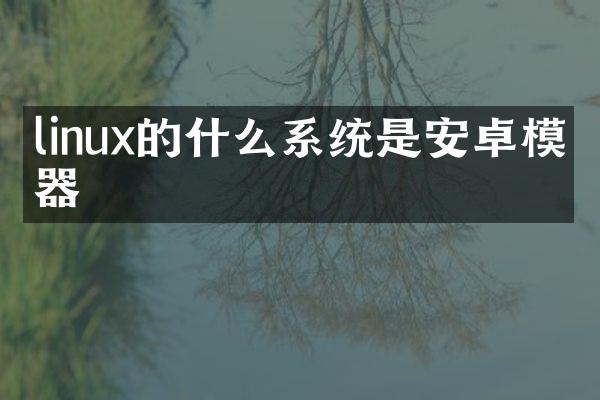 linux的什么系统是安卓模拟器