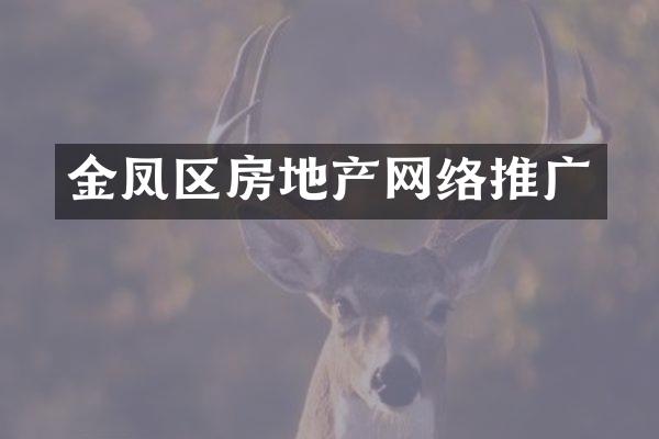 金凤区房地产网络推广