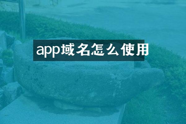 app域名怎么使用