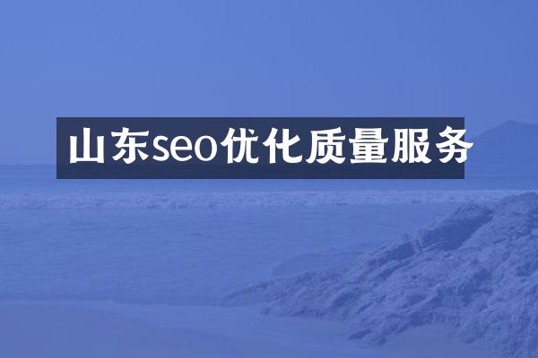 山东seo优化质量服务
