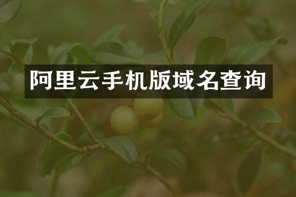 阿里云手机版域名查询