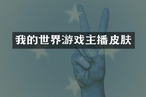 我的世界游戏主播皮肤