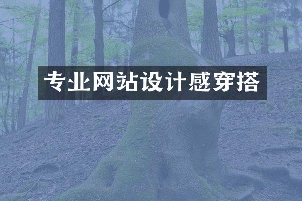 专业网站设计感穿搭
