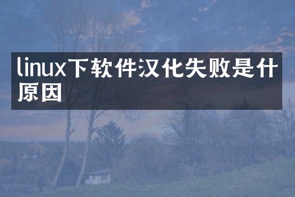 linux下软件汉化失败是什么原因