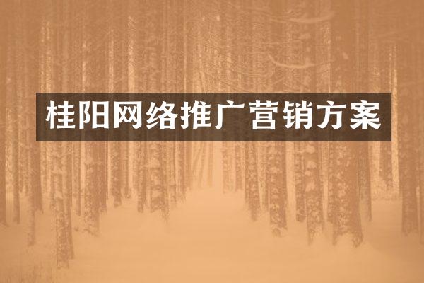 桂阳网络推广营销方案