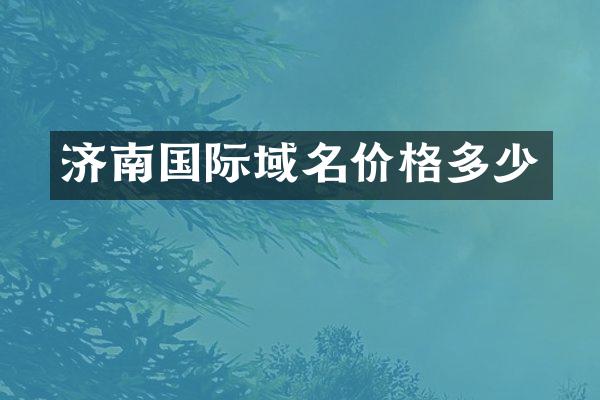 济南国际域名价格多少