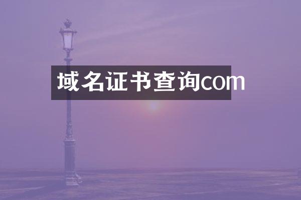 域名证书查询com
