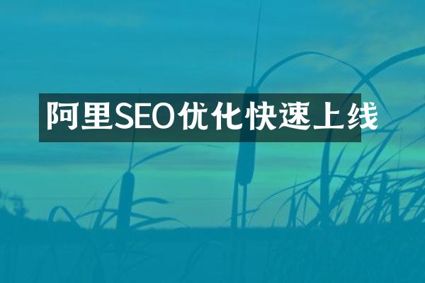 阿里SEO优化快速上线