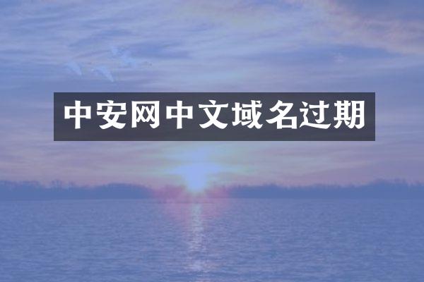 中安网中文域名过期