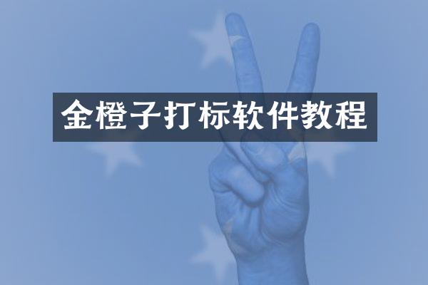 金橙子打标软件教程