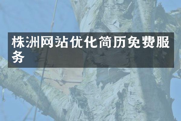 株洲网站优化简历免费服务