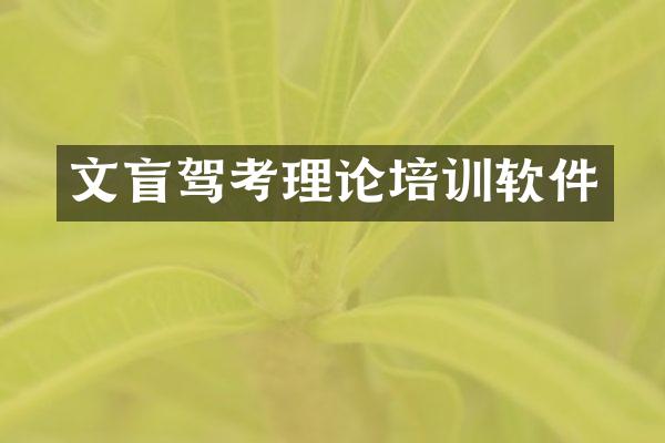 文盲驾考理论培训软件
