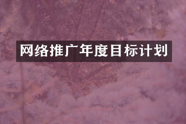 网络推广年度目标计划