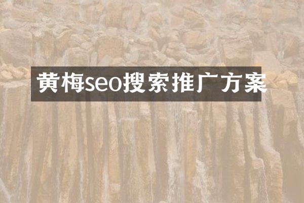 黄梅seo搜索推广方案