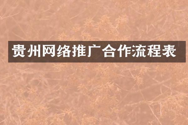 贵州网络推广合作流程表